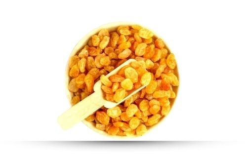 ms mayboli agrocare private limited raisin design (2)